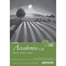 Склейка для рисунка Gamma Accademia 21х29.7 120 г 50 л